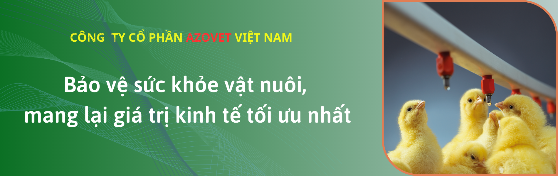Công ty cổ phần AZOVET Việt Nam