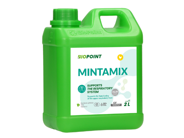 Mintamix