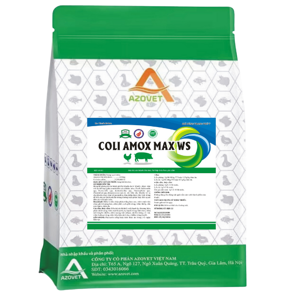 COLI AMOX MAX WS