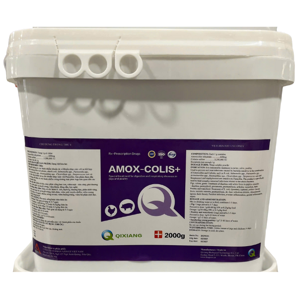 AMOX - COLIS+
